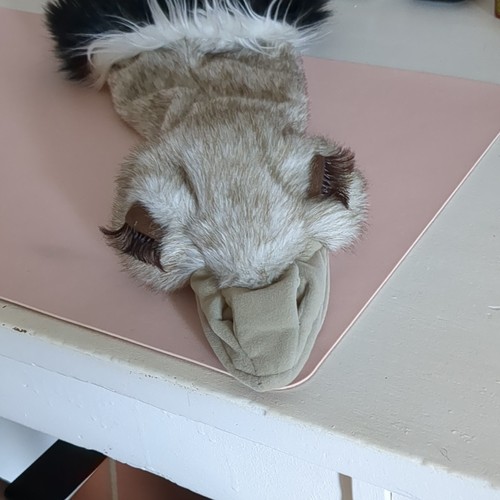 Folkmanis handpuppe vogel - handpuppe,