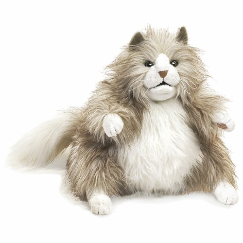 Pummelige katze folkmanis - pummelige,