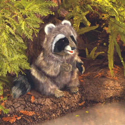 Folkmanis 3075 raccoon hand - 3075,