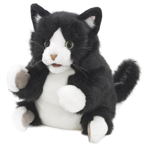Kätzchen tuxedo s w - kätzchen, "tuxedo"